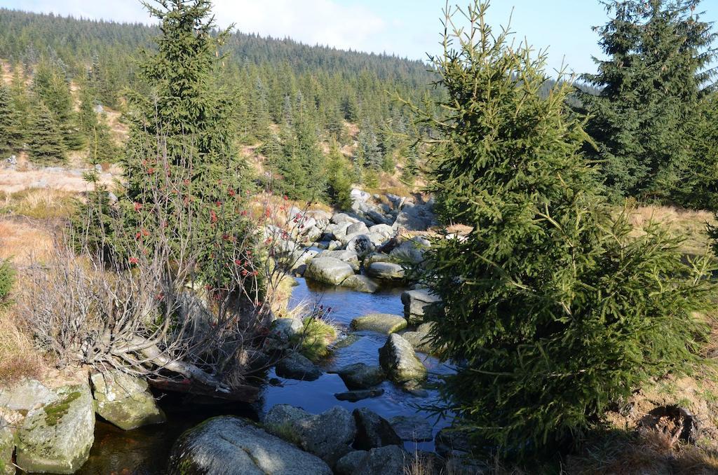 Penzion Vital Liberec Ruang foto